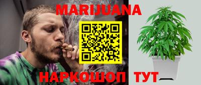 индика Нягань