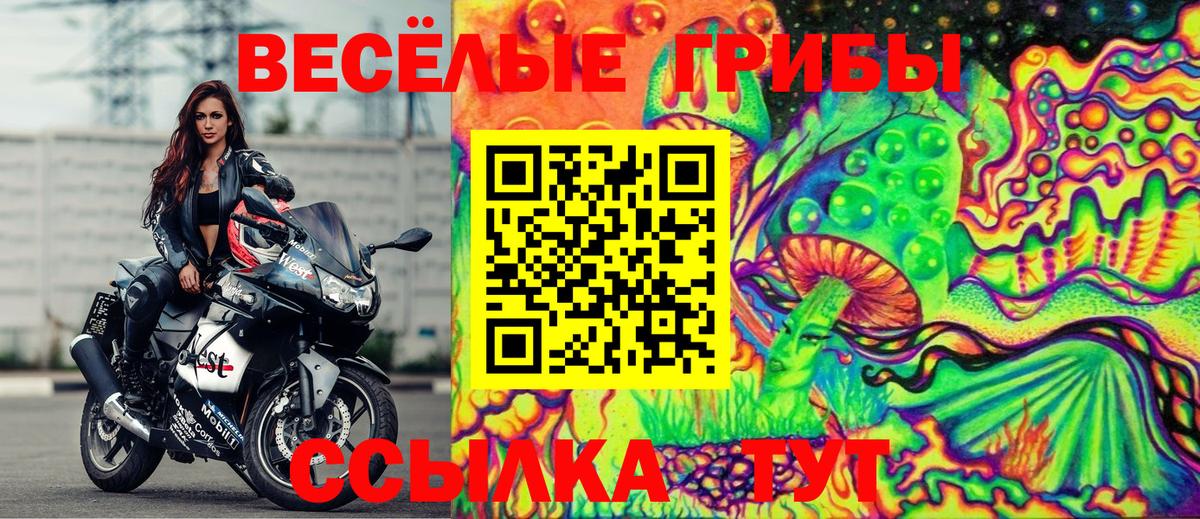 Галлюциногенные грибы GOLDEN TEACHER  Псилоцибиновые грибы Psilocybe  Вход с VPN  Чехов 