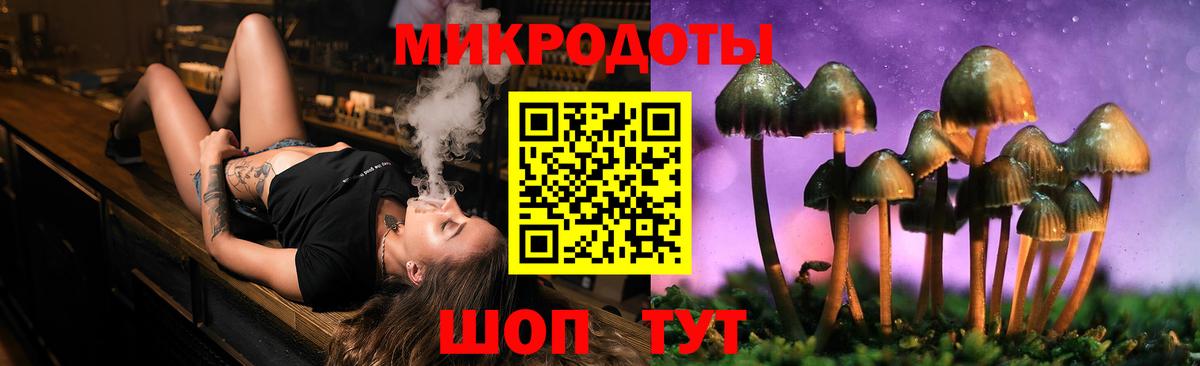 Галлюциногенные грибы Cubensis Чехов